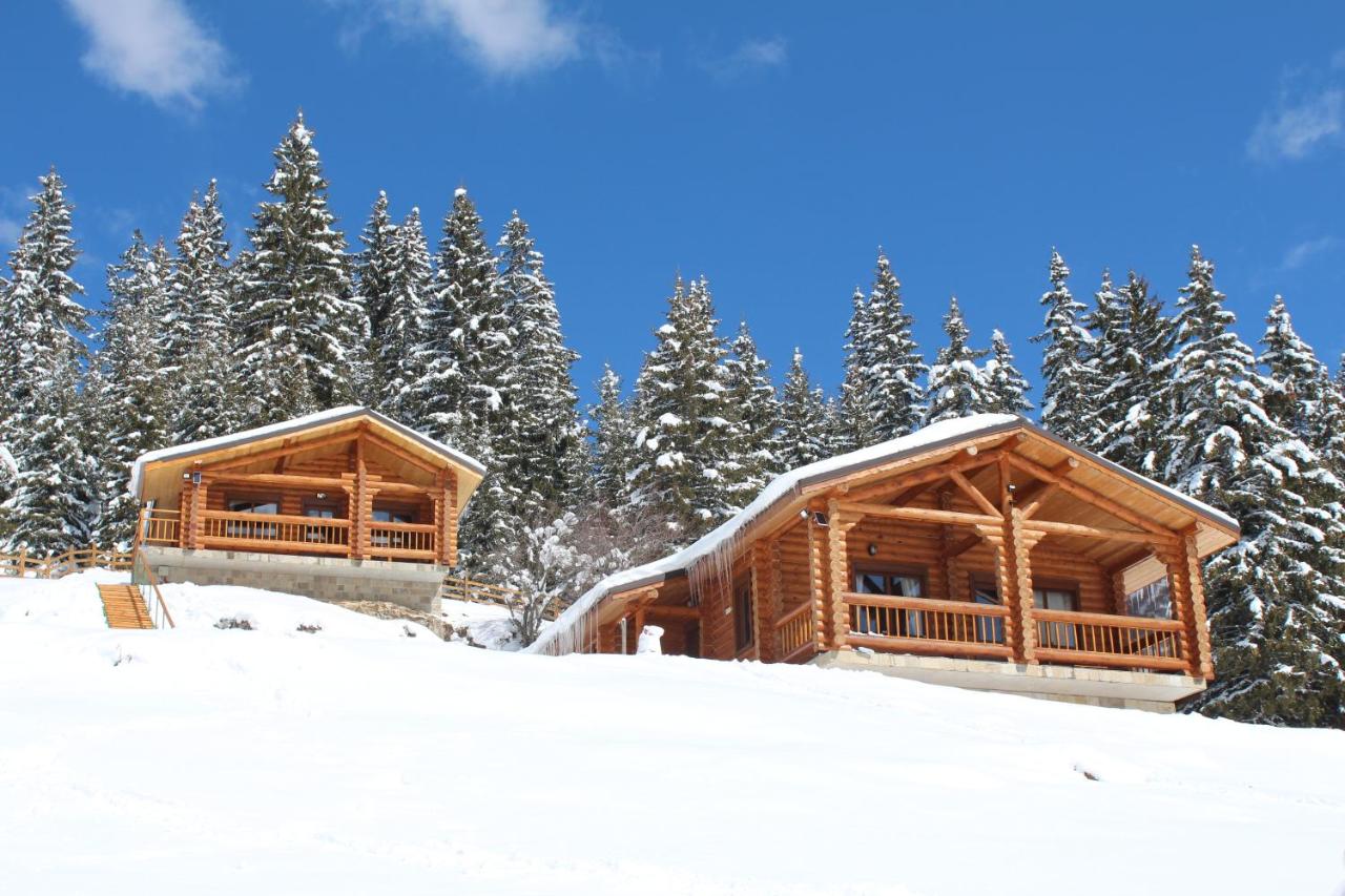 къщи за гости Под звездите - B&B Pamporovo