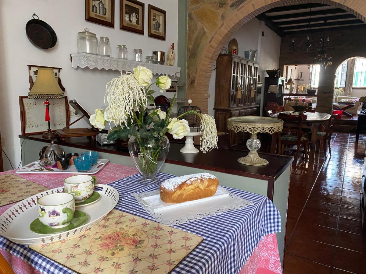 B&B Tegueste - LOFT RURAL - Bed and Breakfast Tegueste