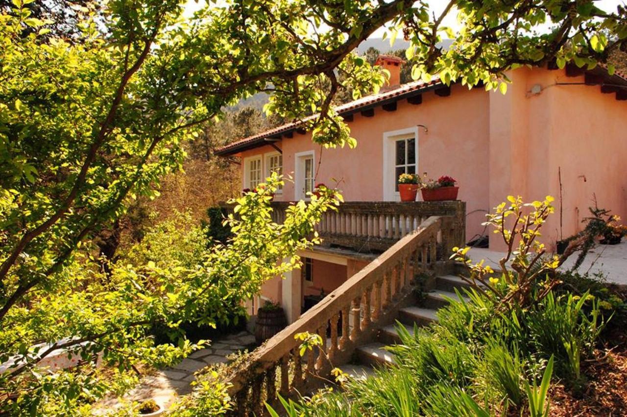Quadruple Room with Garden View