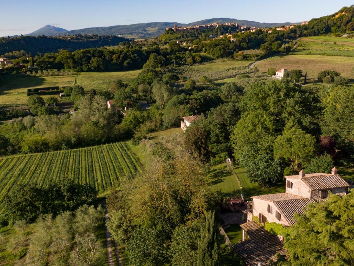 Poggio Etrusco sas di Sheldon Johns Pamela Kay - B&B Sant'Albino