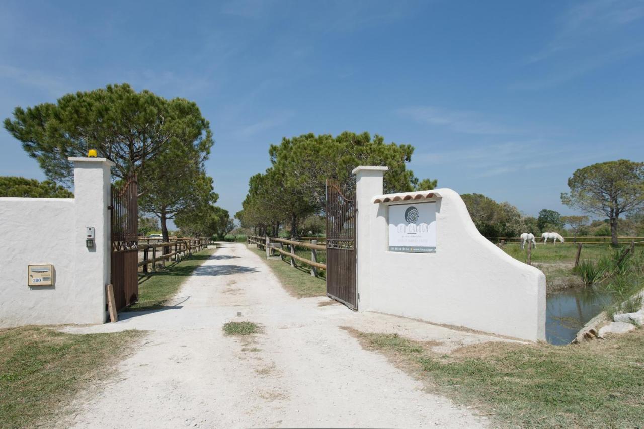 Mas Lou Caloun - Chambre d'Hôte face à la piscine en Camargue - Les Saintes Maries de la Mer - Chambres d'hôtes Saintes-Maries-de-la-Mer