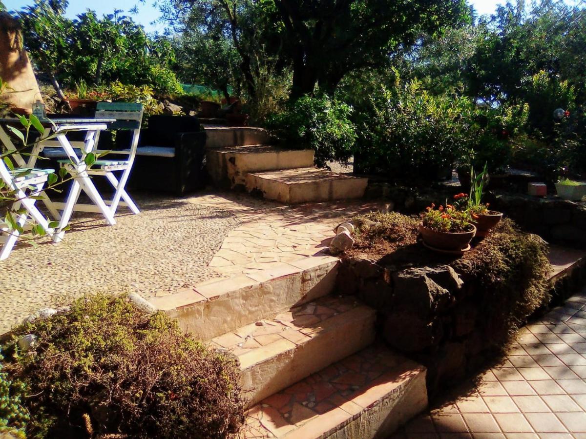 Chambre Double ou Lits Jumeaux