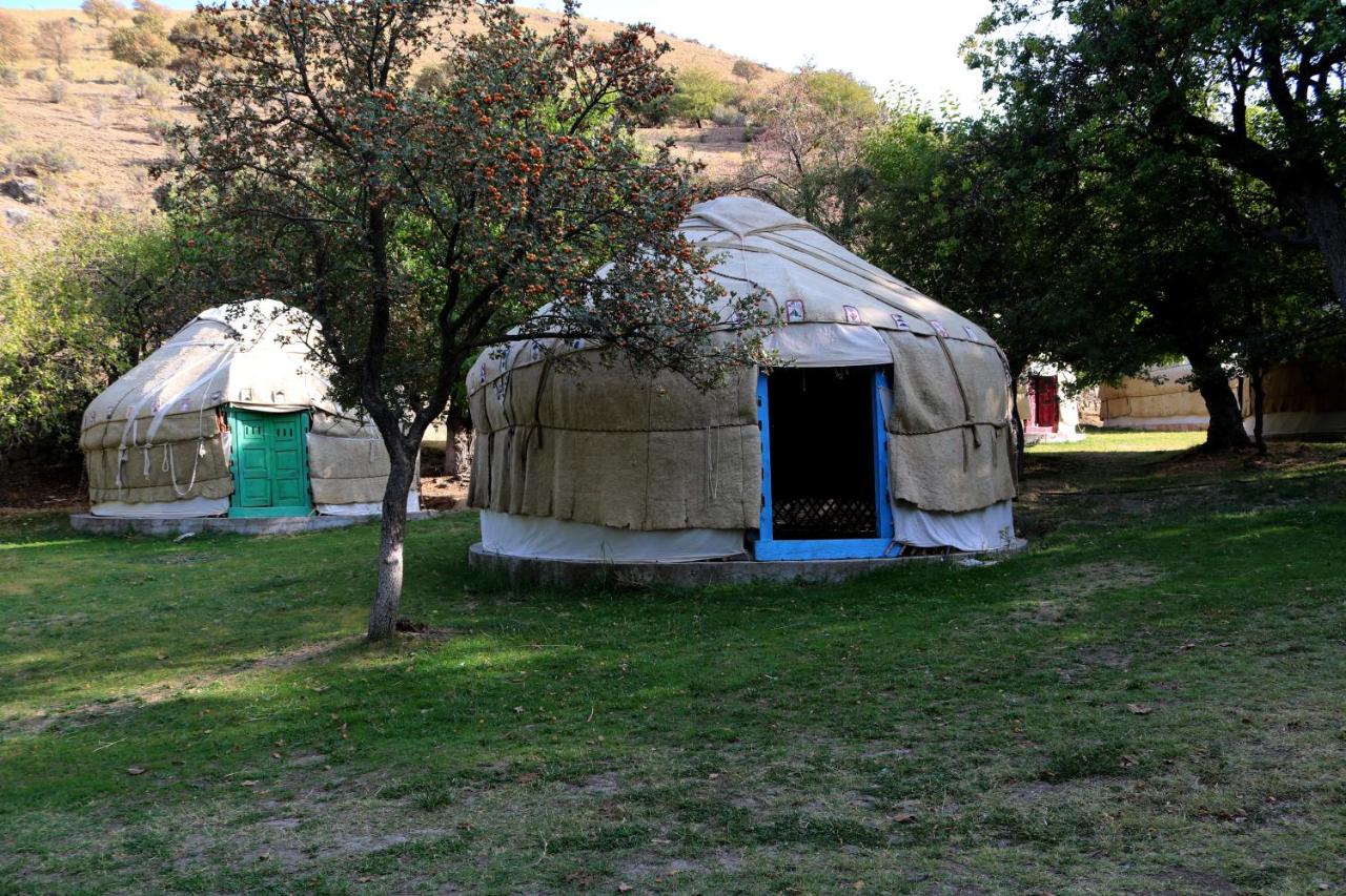Sayyod Yurt Camp-yurt camp in Uzbekistan - B&B