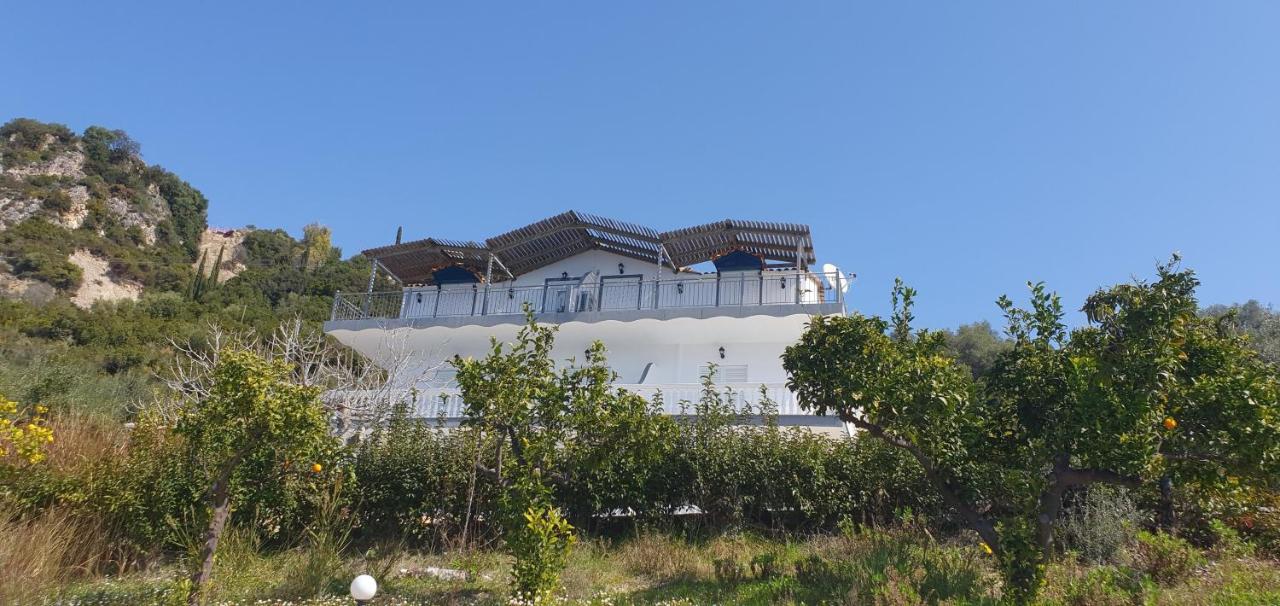 ΑRILLA STUDIOS - Bed and Breakfast Pérdika