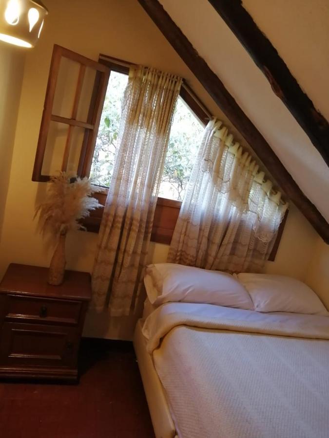 Double Room with Shared Bathroom