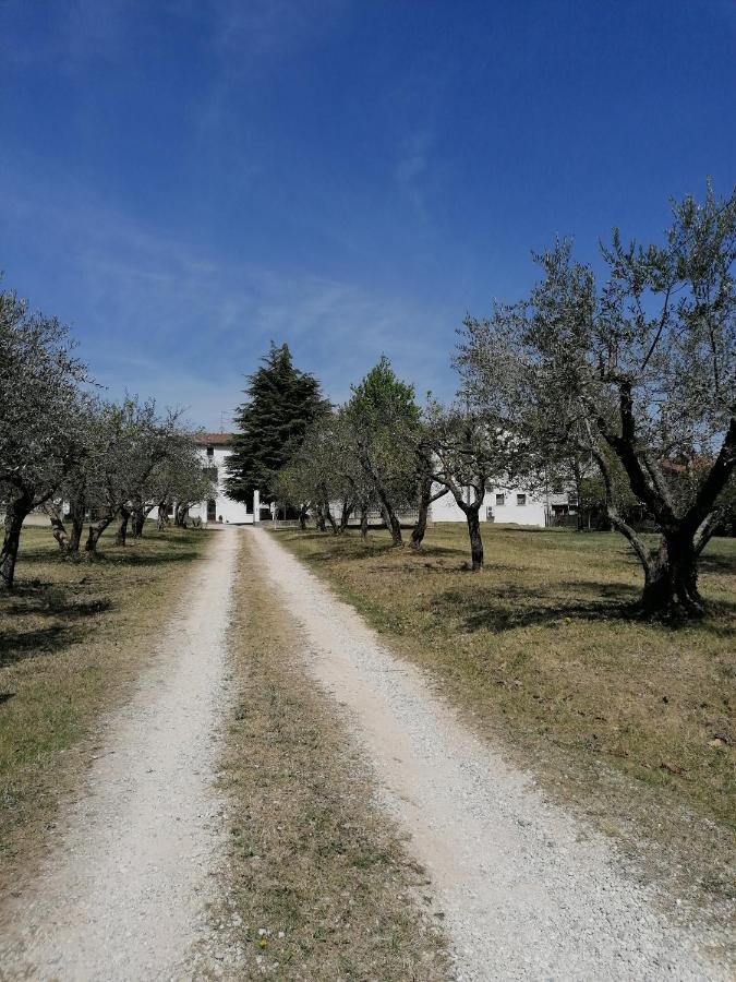 Appartamento Attico