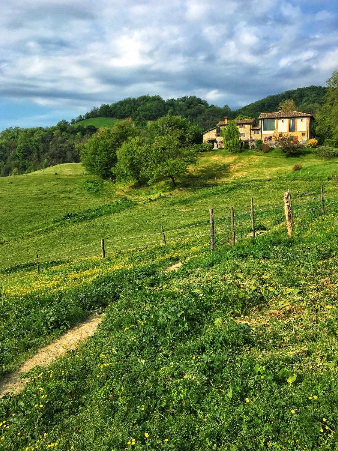 Ca' Lo Spicchio - B&B Monte San Pietro