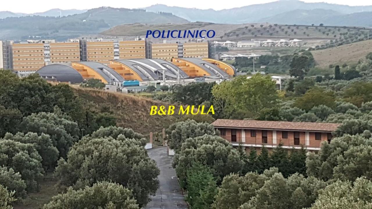 B&B MULA Germaneto - B&B Santa Maria