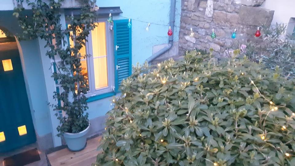Little garden - B&B
