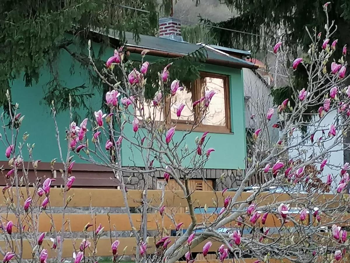 SUNSHINE house - Bed and Breakfast