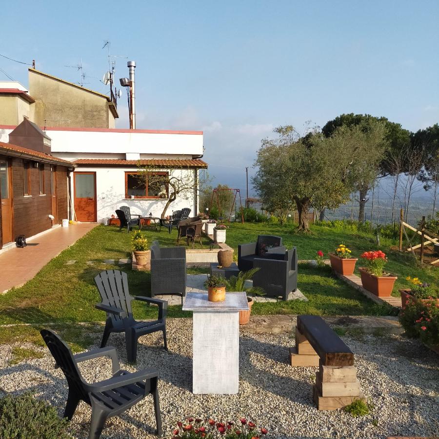 Il colle degli ulivi - B&B