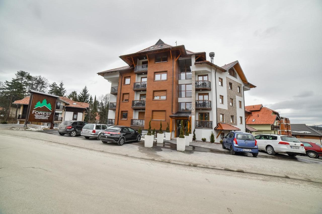 Forest12 - Ferienwohnung Zlatibor