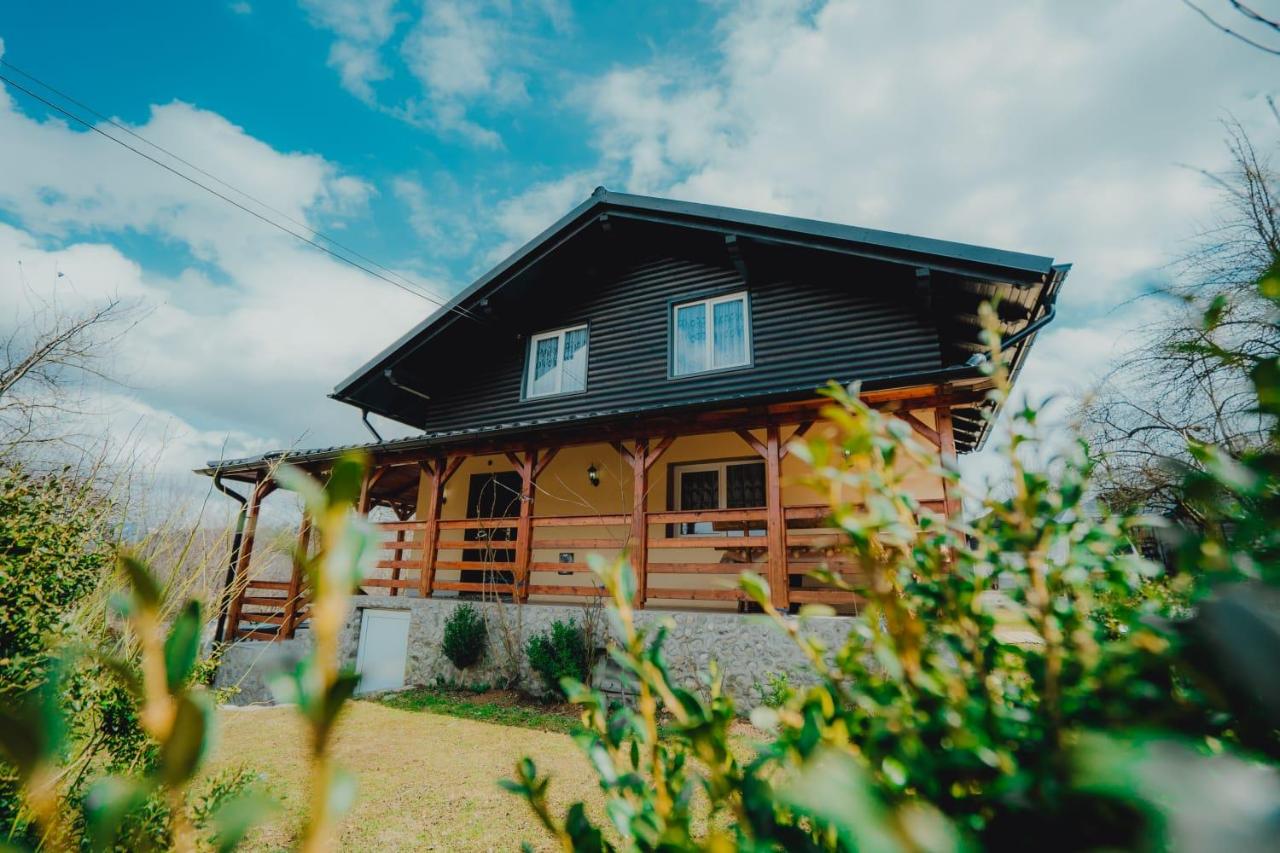 B&B Borşa - Casa Andreea și Grigore Ursu - Bed and Breakfast Borşa