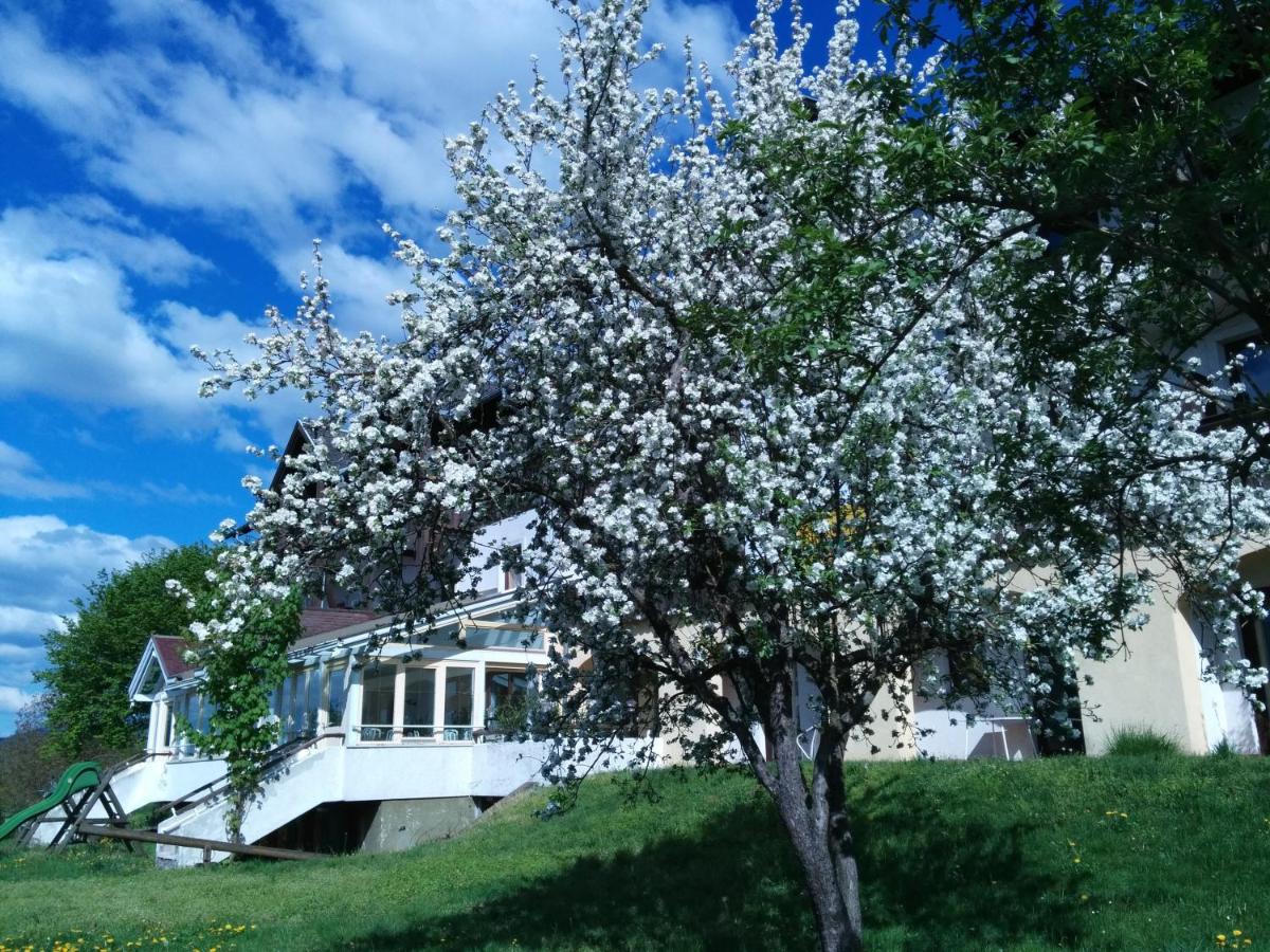 Ferienwohnungen Fiala-Köfer - Chambres d’hôtes