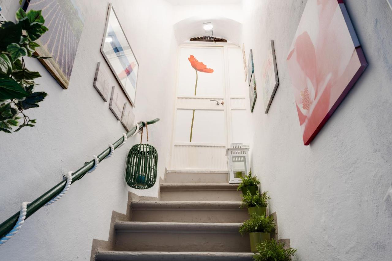 Le Viole Matte - Appartamento immerso nel Verde con Vista Mare - B&B