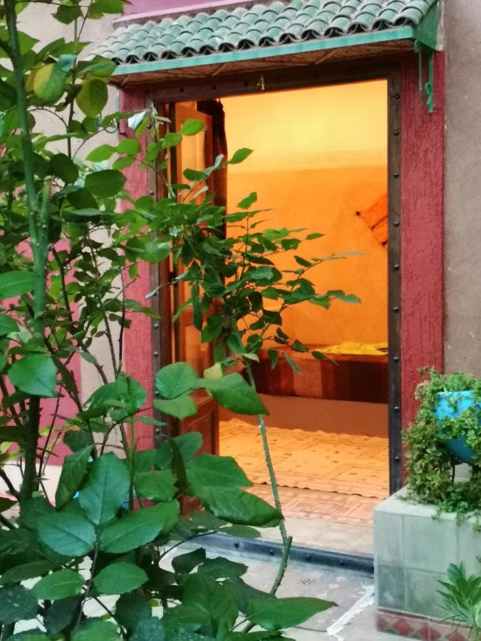 Riad Dades Birds - B&B