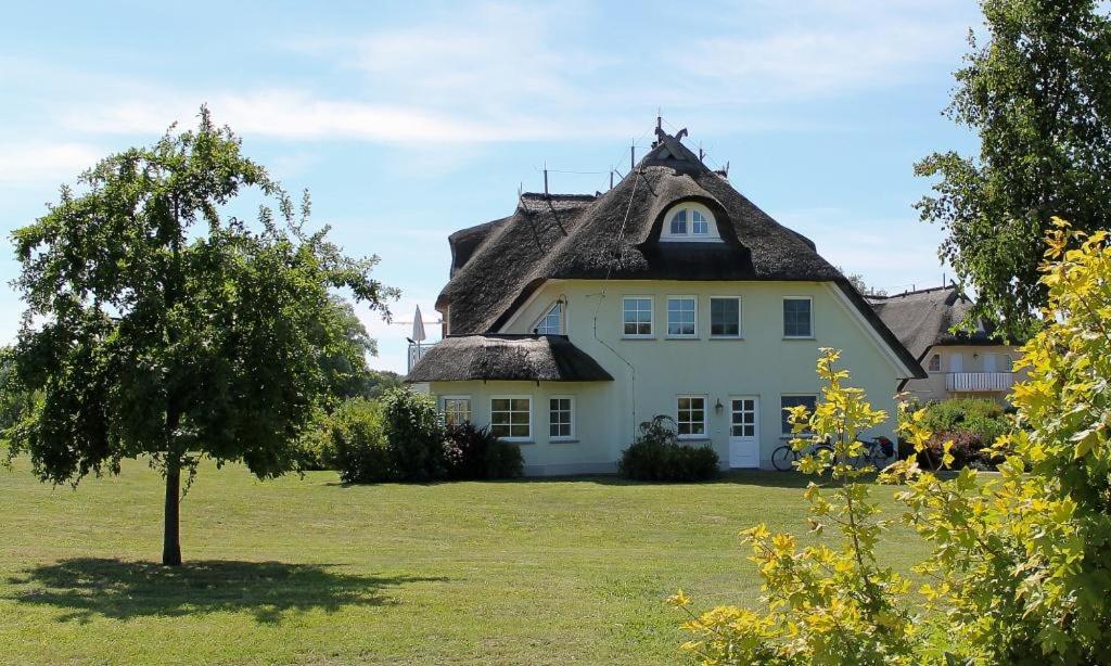 Am Paetowhof 3 4 - Ferienwohnung Ostseebad Ahrenshoop