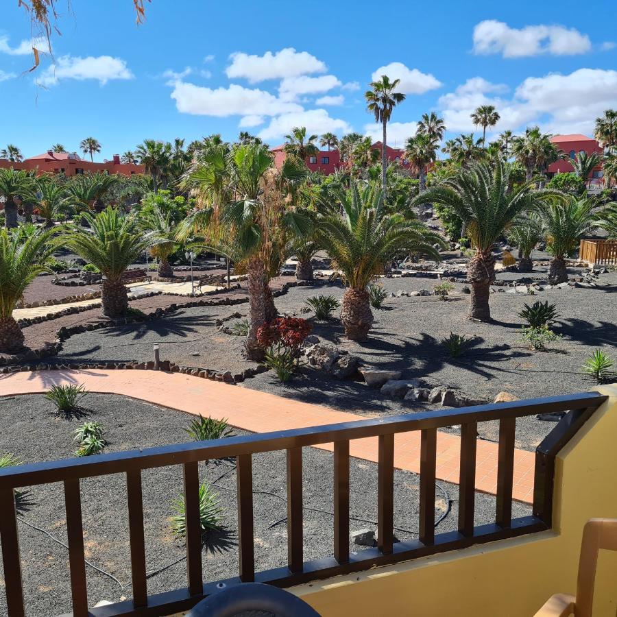 Oasis Royal F320 - B&B Corralejo
