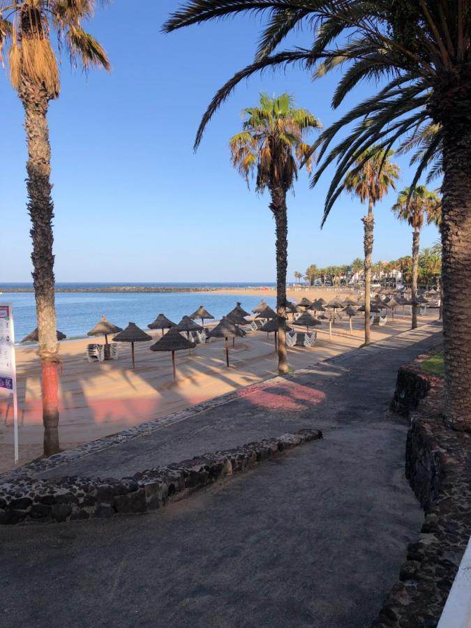 GO2TENERIFE Apart'Gecko EXTRAORDINARY sea view - B&B