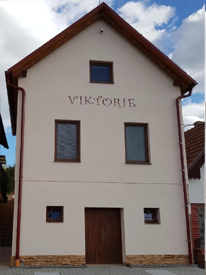 Apartmán s vinným sklepem VIKTORIE Pouzdřany - B&B