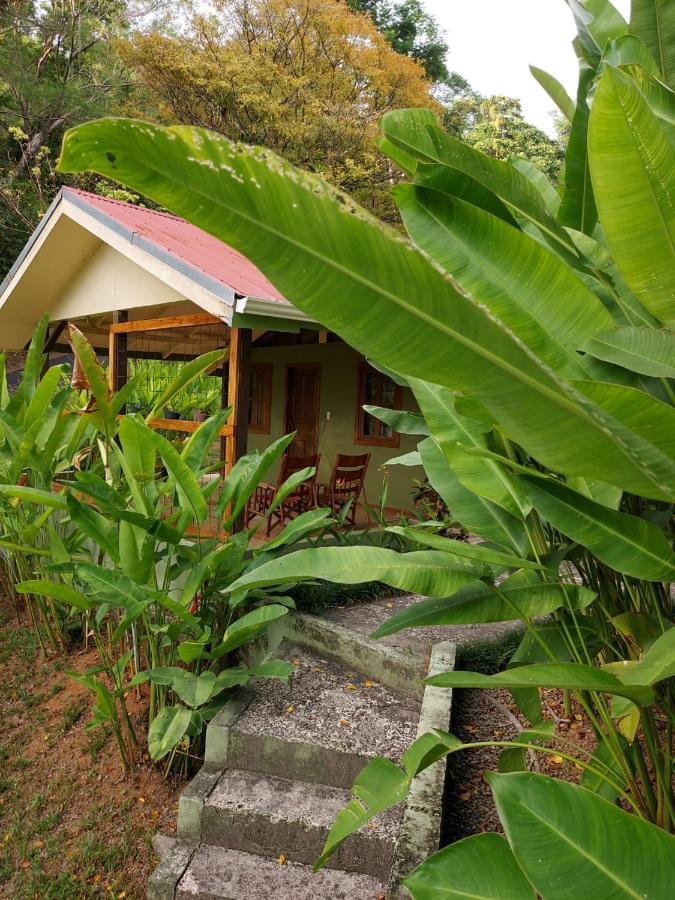 B&B Uvita - Cabina Rancho la Merced - Bed and Breakfast Uvita