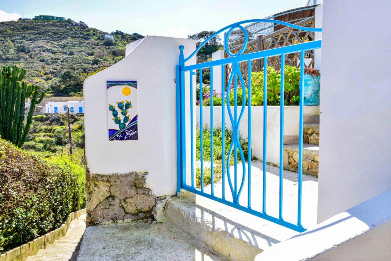 SoleMarePonza Casa Il Fico d'India - Bed and Breakfast
