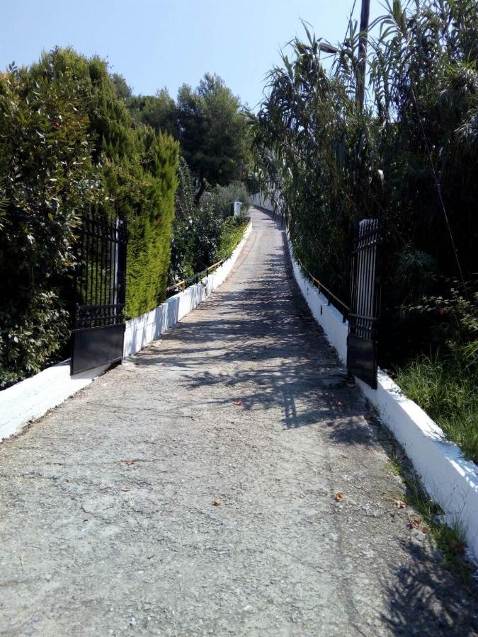 Villa Xanthippi - Bed and Breakfast Agia Paraskevi