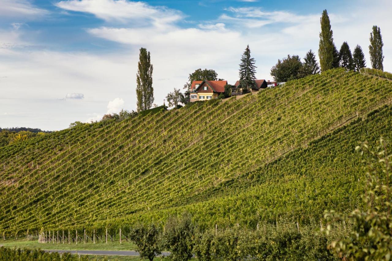 Ferienwohnungen Weingut Familie Danko - B&B Gamlitz