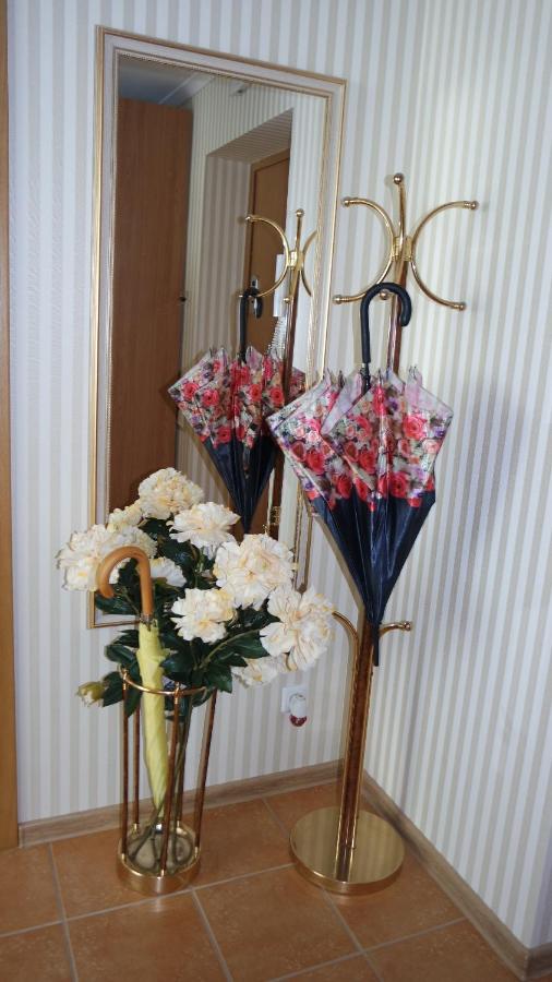 2 kambarių apartamentai su virtuve, Trakų miesto centre - B&B Trakai