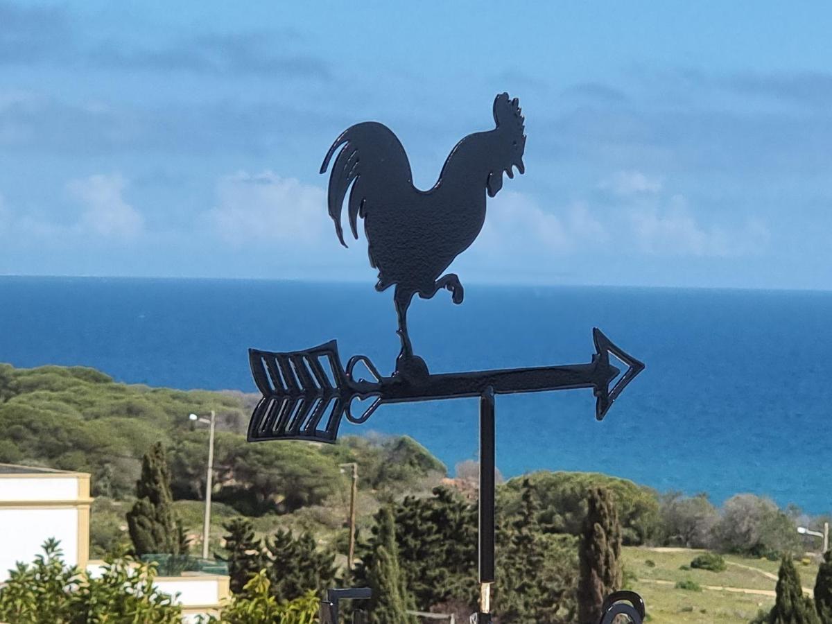 Villa Oceano - B&B Albufeira