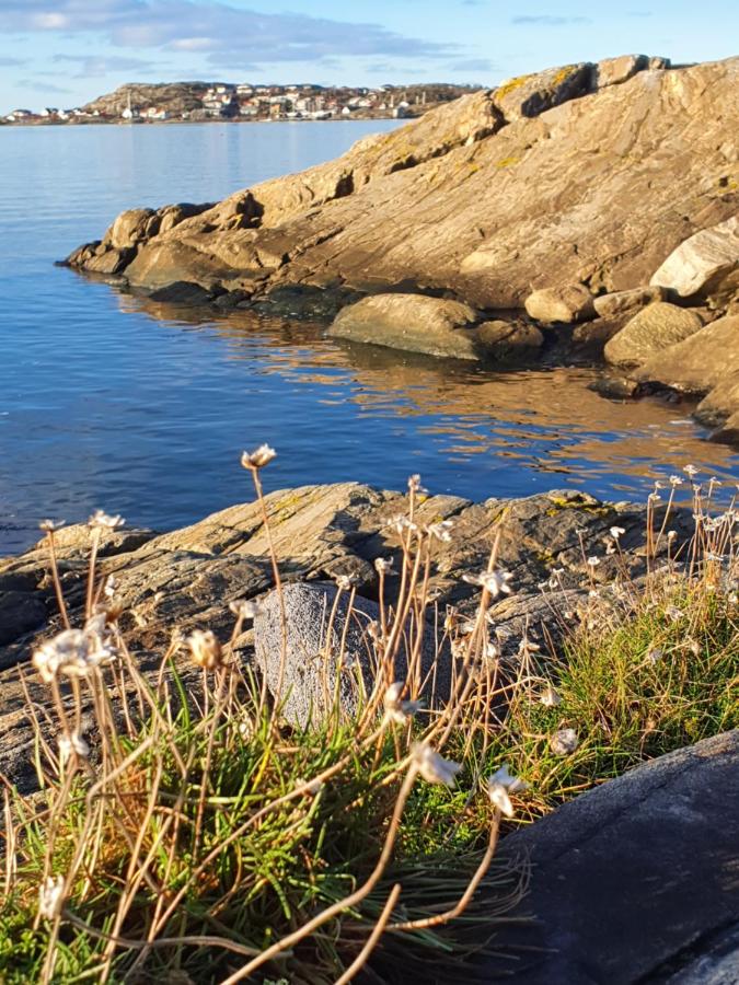 Skärgårdsidyll på Björkö med gångavstånd till havet - B&B
