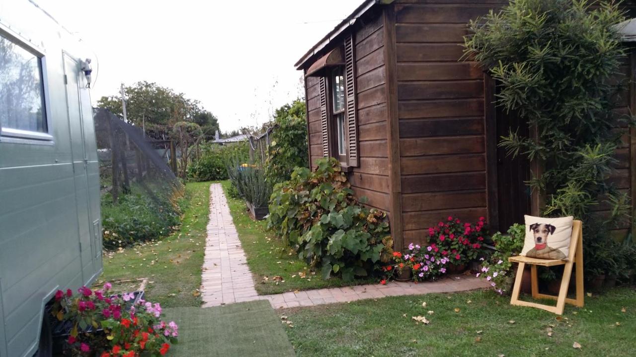 The Whare Rural Retreat - Ferienwohnung