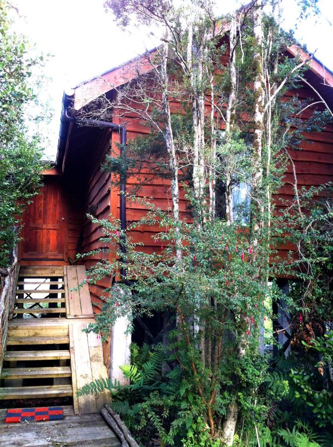 CABAÑAS Gracias a la Vida Lodge - Ferienwohnung Puerto Varas