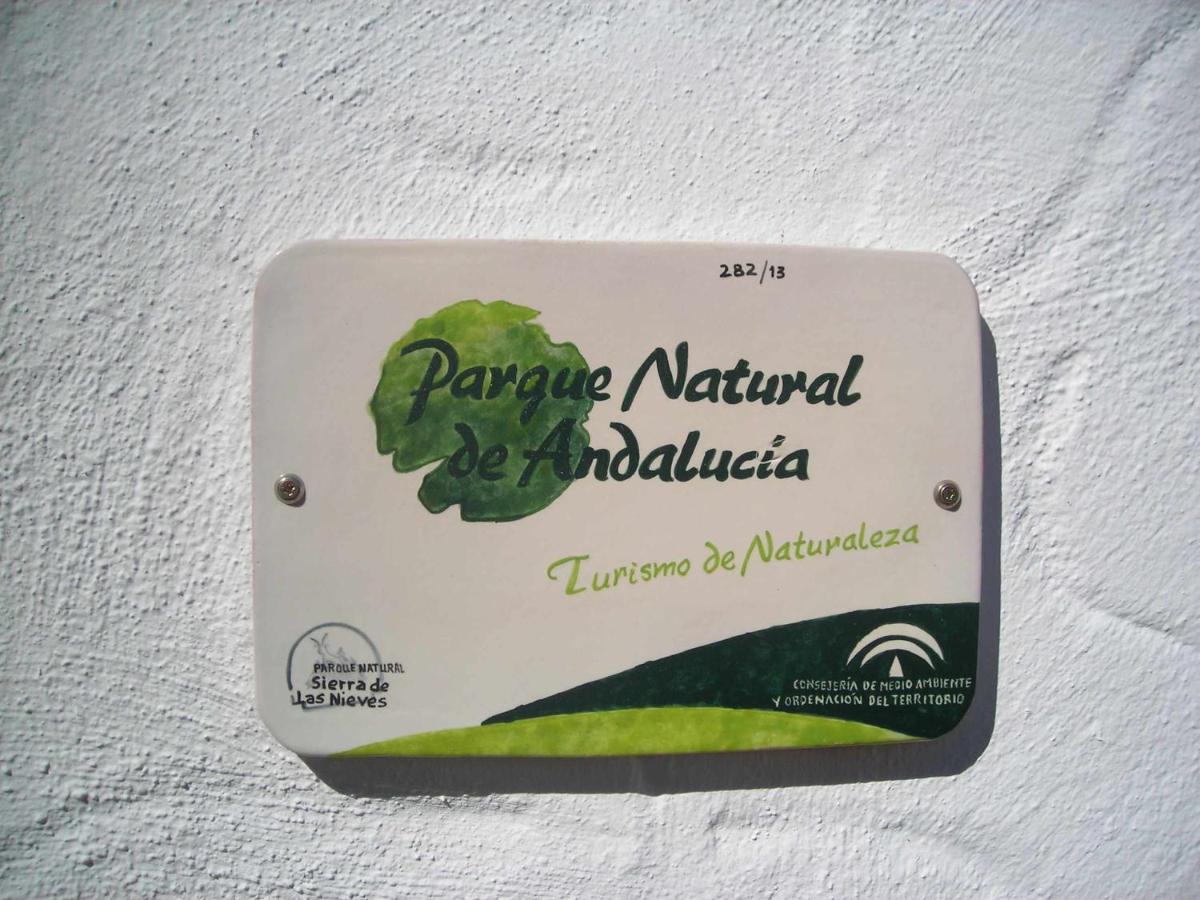 Villa Deluxe con 1 Camera da Letto 