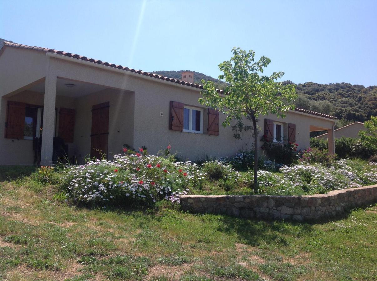 B&B Cargese - Residence Cucunacciu - Bed and Breakfast Cargese