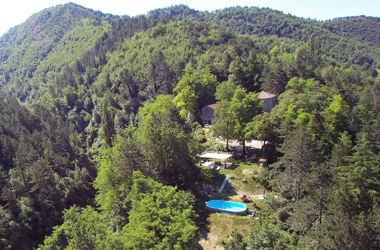 Porcaticcio - B&B Casola Valsenio