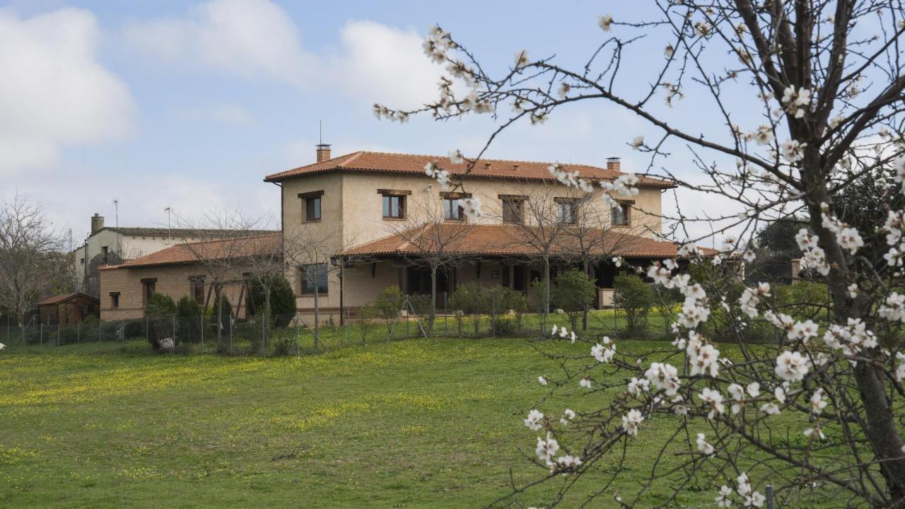 B&B Oropesa - Casa Rural Pilón del Fraile - Bed and Breakfast Oropesa