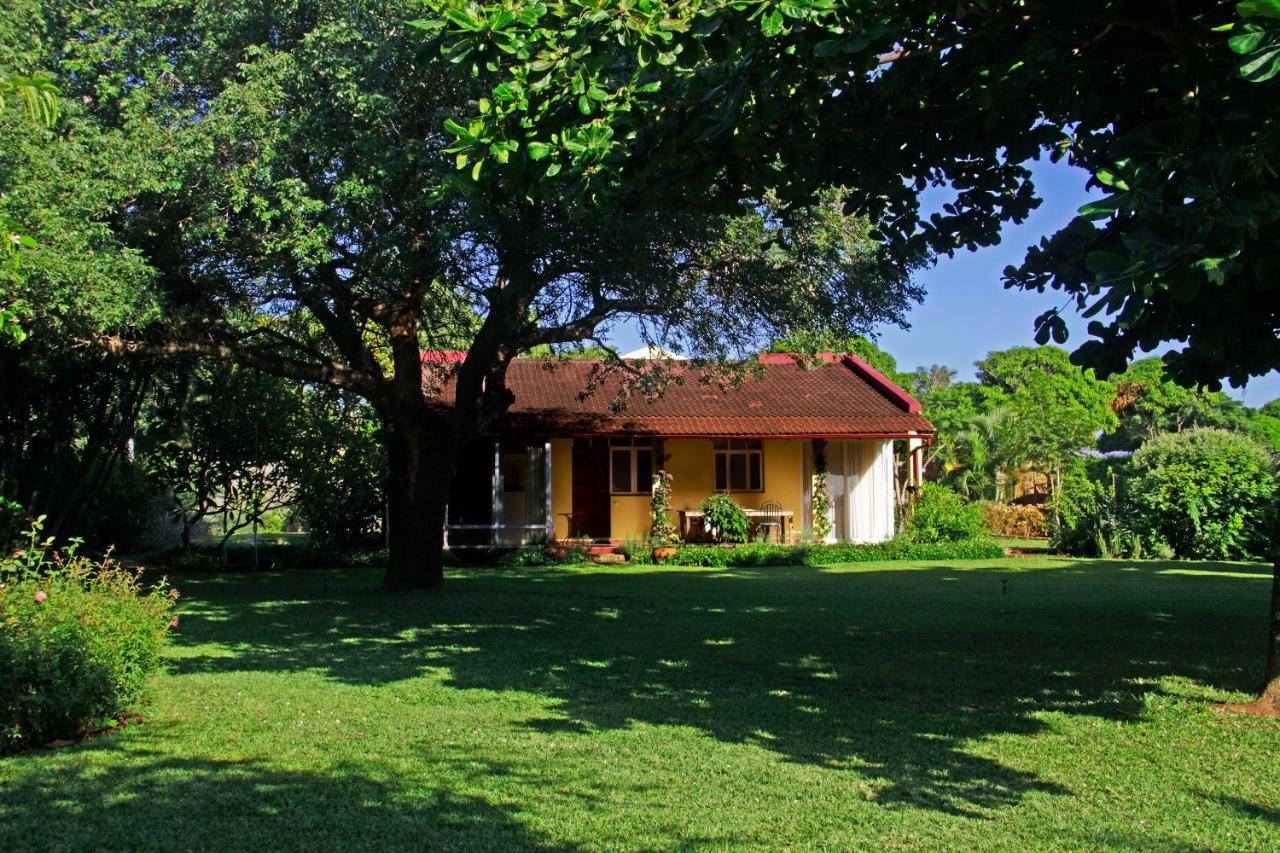 Ancha's Oasis - B&B