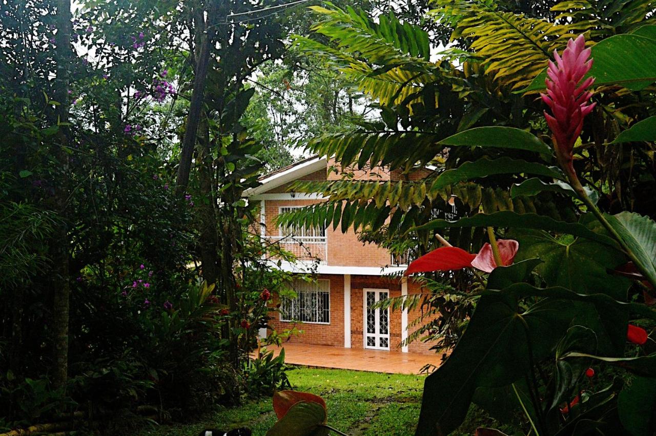 B&B Villavicencio - Kaliawiri Bird Lodge & reserve - Bed and Breakfast Villavicencio