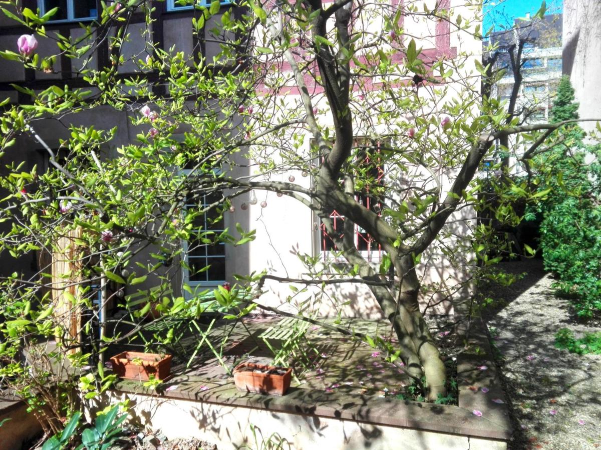 Appartement Petite France avec terrasse - Chambres d’hôtes Strasbourg