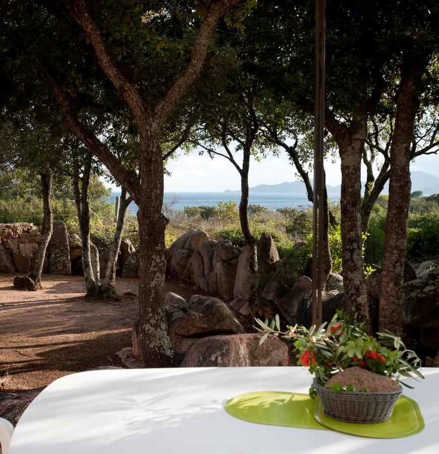 Domaine de la Punta - B&B Porto Vecchio