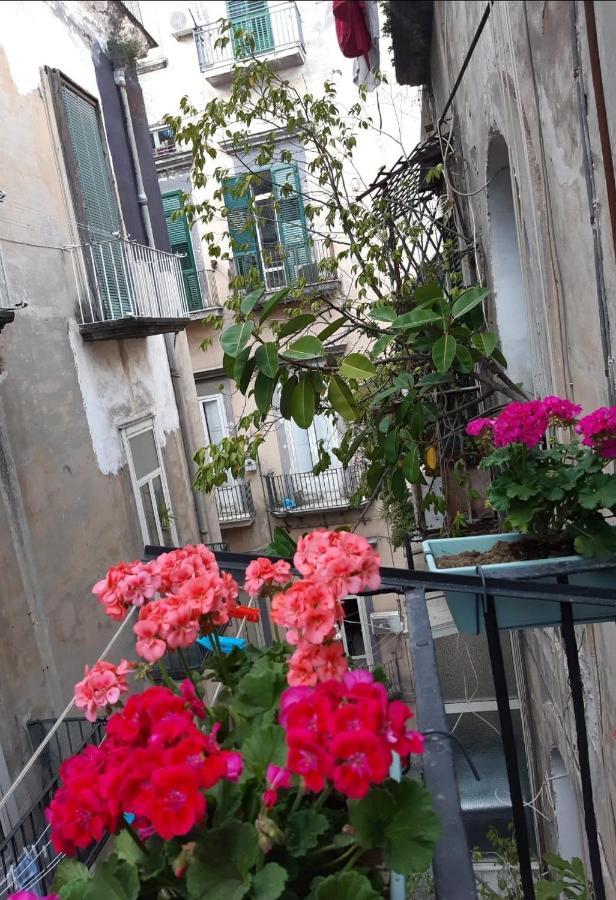 GELSO HOME - B&B