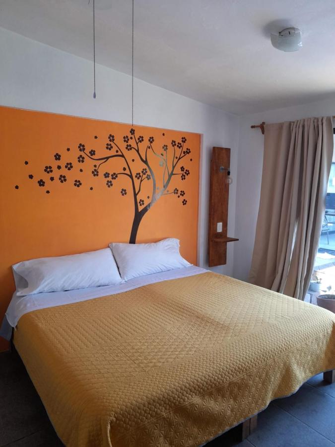 Kamer met Kingsize Bed