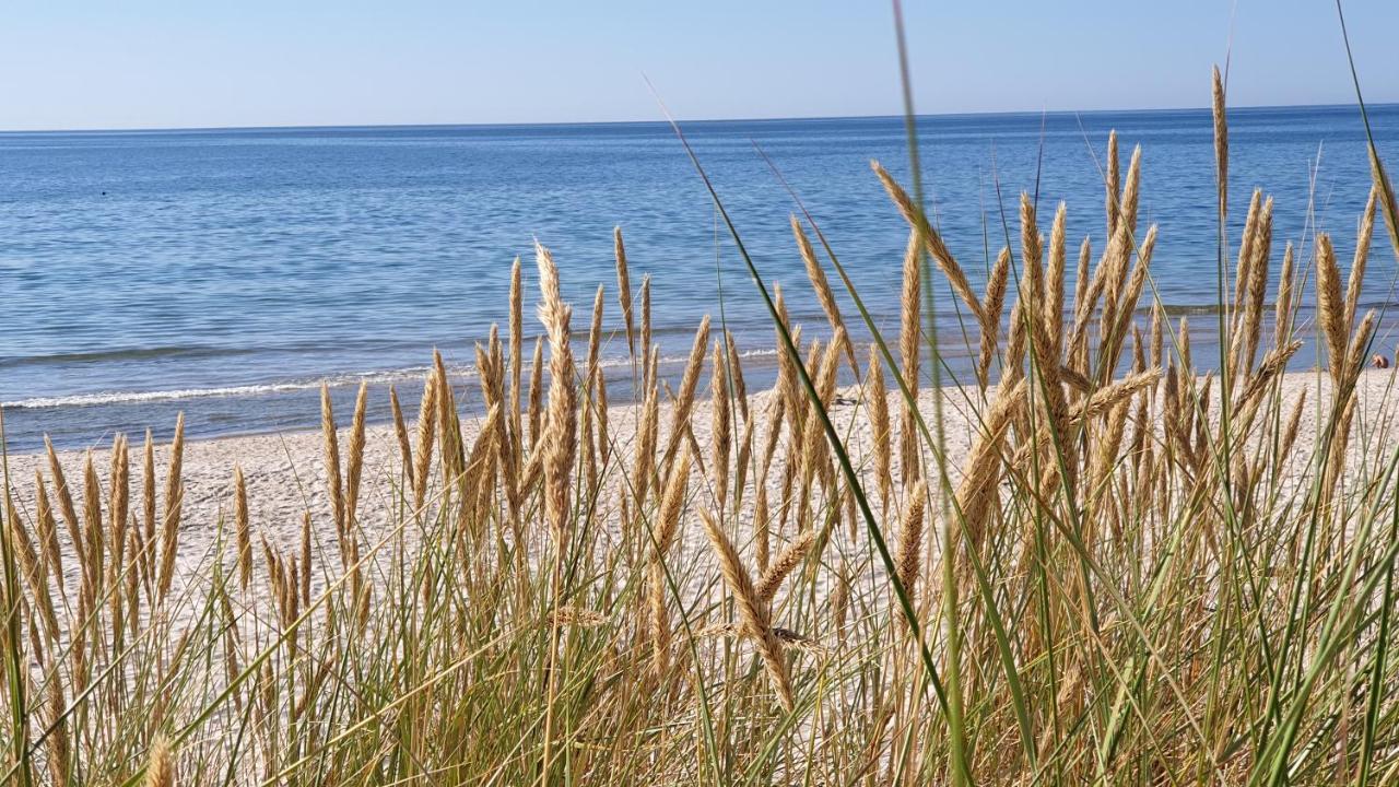 GT apartamentai - B&B Palanga