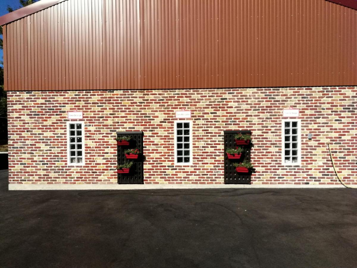 Dans mon jardin - Chambres d’hôtes Merville