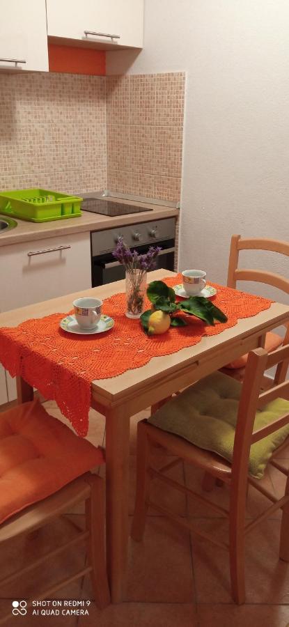 Studio with Terrace