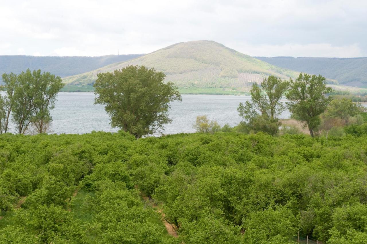 Chambre Double avec Salle de Bains Privative Séparée - Mansardée
