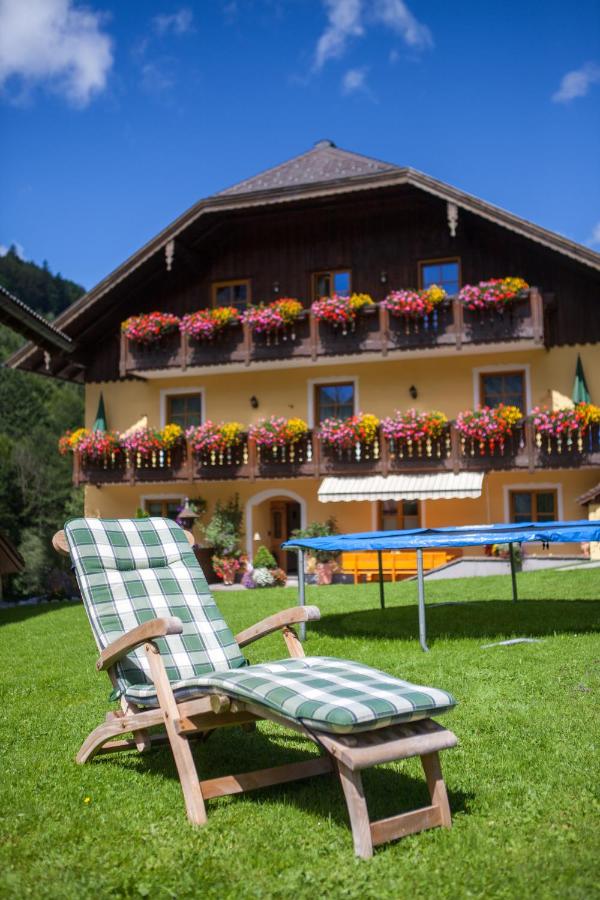 B&B Hintersee - Bio-Bauernhof Vordergrubenbach - Familie Oberascher - Bed and Breakfast Hintersee