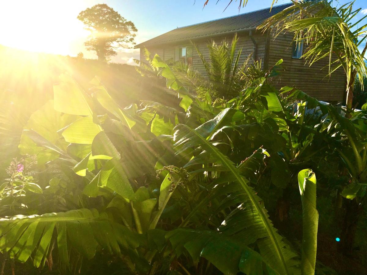 Azores Casa Atlantis - B&B