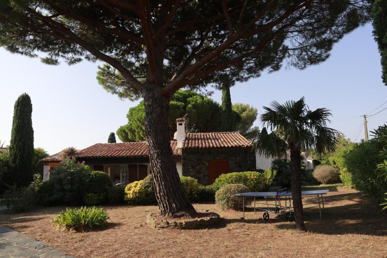 Maison sous les Pins - B&B